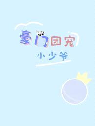 豪门团宠小少爷封面