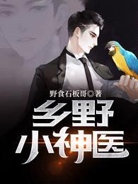 乡野小神医封面