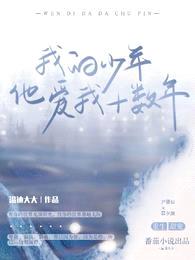 我的少年他爱我十数年封面